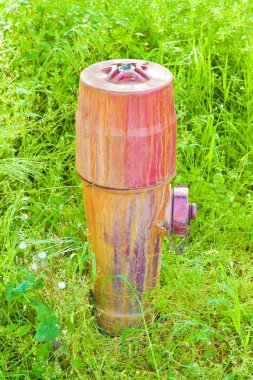 Yeşil bir çayırda eski kırmızı metal hidrant