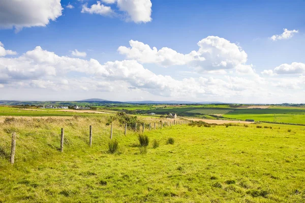 Typical Irish flat landscape with fields of grass and wooden fen