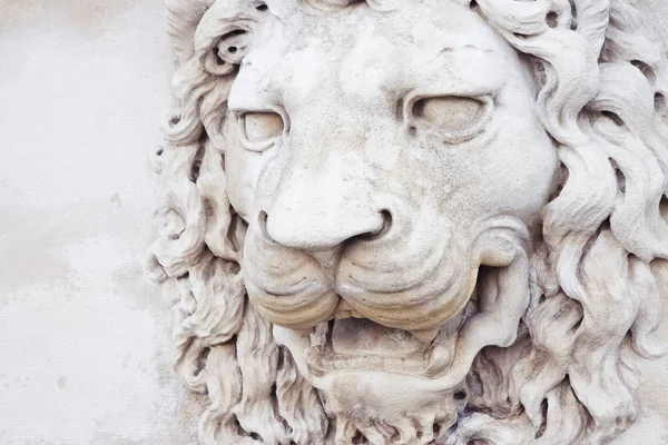 Skulptur eines mittelalterlichen Löwenkopfes aus Stein (Italien)) — Stockfoto