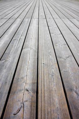 Parke zeminler açık