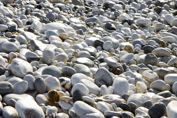 Фон с белыми и серыми камнями мягко округлые — стоковое фото