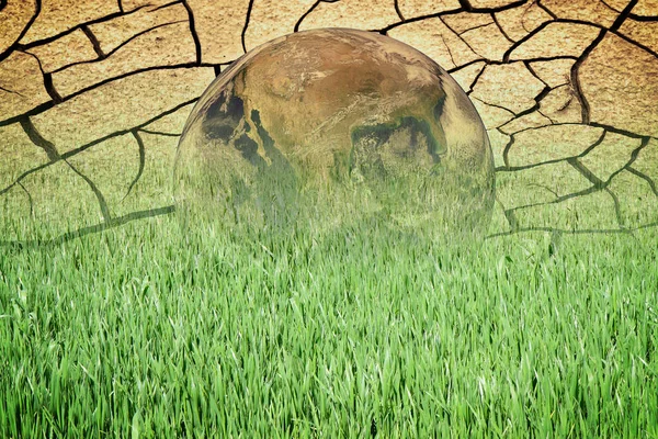 Infertile land burned by the sun: famine and poverty concept - c — Stock Photo, Image