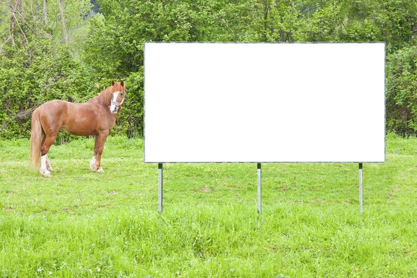 Blank commercial advertising billboard immersed in a rural scene