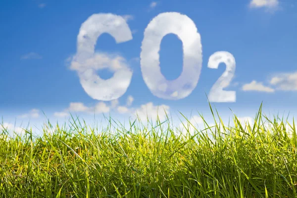 CO2 Konceptbild mot en grön vild gräs på himmel bakgrund — Stockfoto