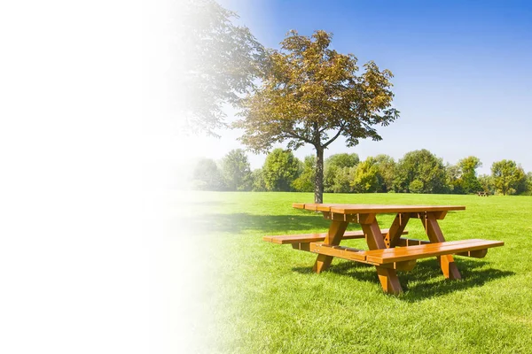 Arka planda ağaçlar ile yeşil bir çayır üzerinde piknik masası-cONCEP — Stok fotoğraf