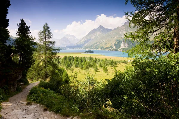 Walking around Sils lake — Stock Photo, Image