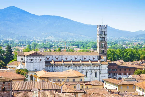 Kostel svatého Martina viděn z věže Guinigi — Stock fotografie