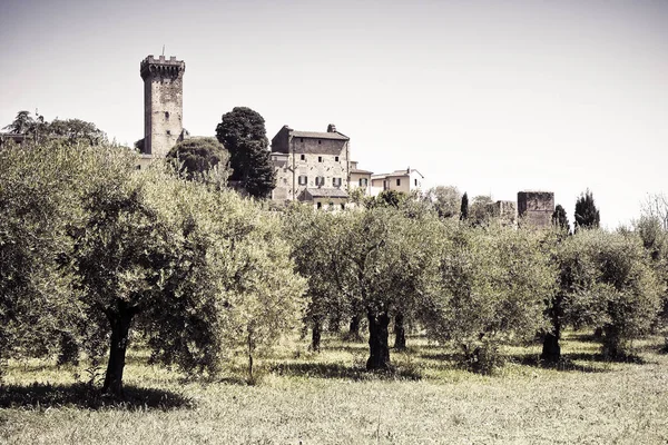 Středověká Citadela Vicopisano (Itálie-Toskánsko-Pisa) — Stock fotografie