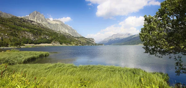 Walking around Sils Lake on Engadine Valley (Switzerland - Europ