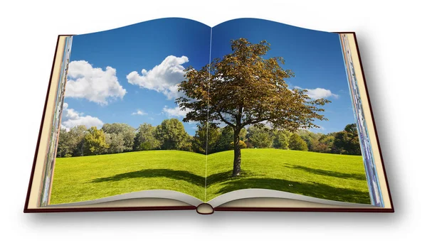 Izolált fa zöld rét-nyitott Fotókönyv fehér vissza — Stock Fotó