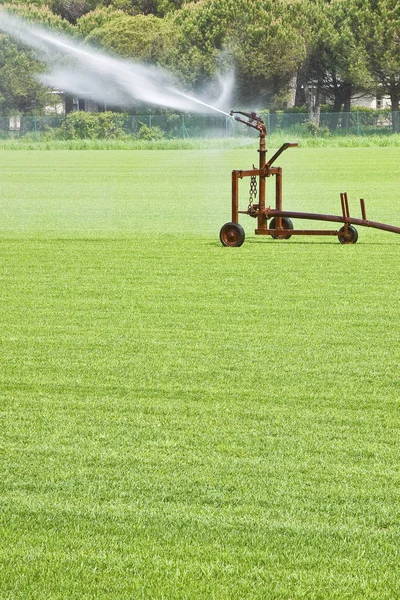 Yeşil biçilmiş çimmetal tahriş edici