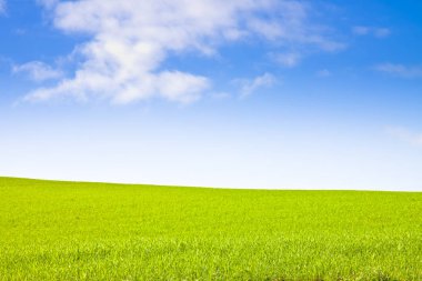 Mavi gökyüzüne karşı tipik Toskana tepe - kopya alanı ile görüntü