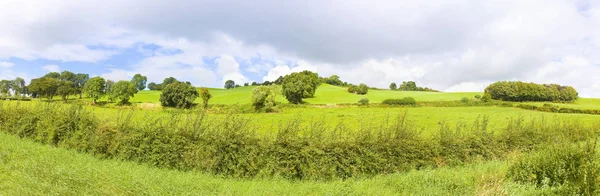 Paisaje irlandés panorámico con un campo verde, colinas y árboles en — Foto de Stock