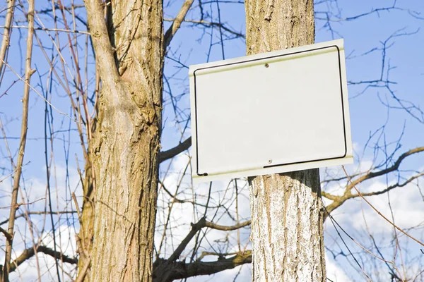 Signo en blanco que indica que cuelga en el tronco del árbol contra una s azul —  Fotos de Stock