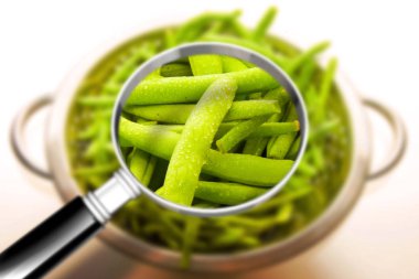 Taze taze fasulyelerin kalite kontrolü - Haccp (Tehlikeli Anal
