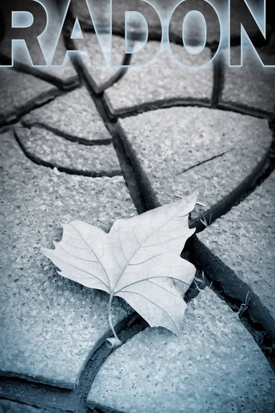 Dangerous radon concept image with isolated dry leaf on backgrou — Stock Photo, Image