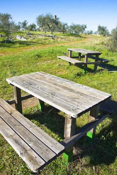 Picknicktafel op een groene weide met olijfbomen op achtergrond — Stockfoto
