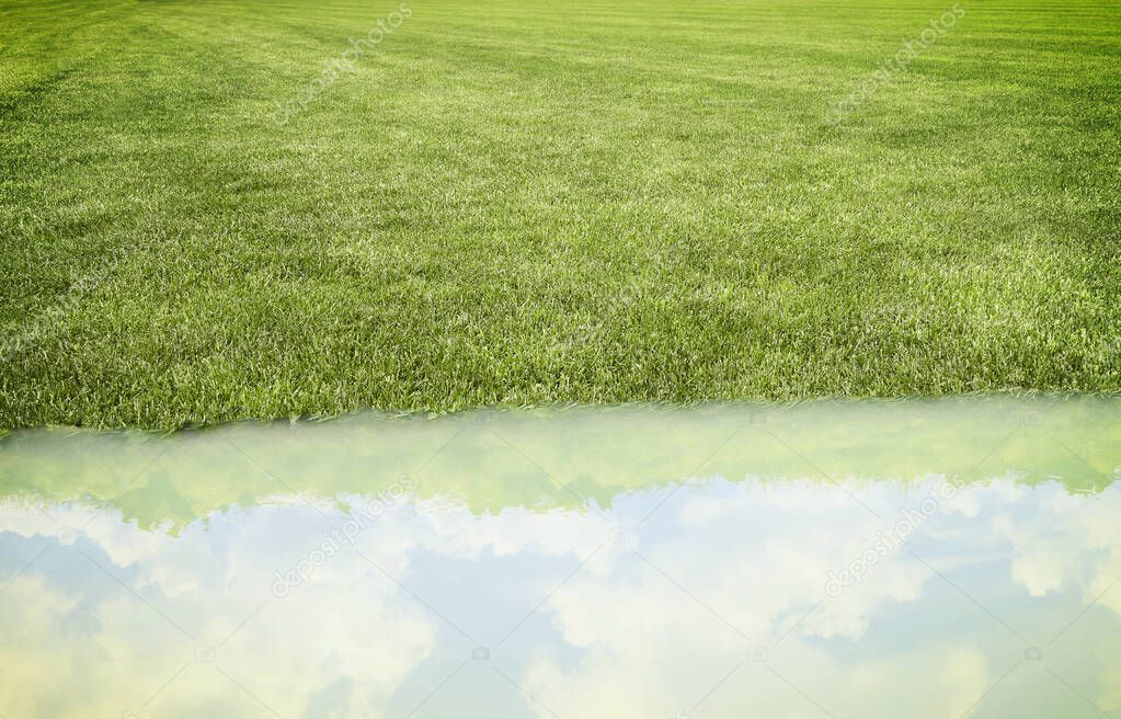 Green mowed lawn flooded - concept image with copy space