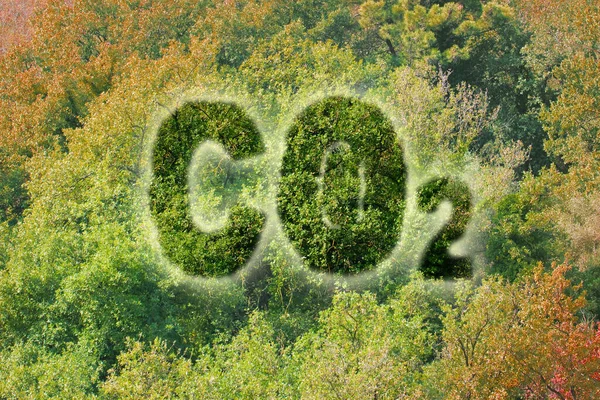 Meer Bomen Planten Vermindert Hoeveelheid Co2 Concept Beeld Met Co2 — Stockfoto