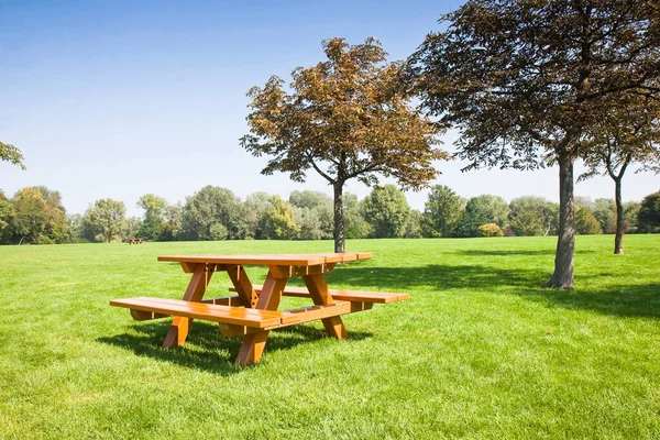 Picnic table on a green meadow with trees on background