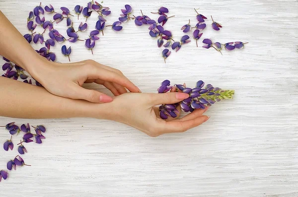 Female Hands Vintage White Background Hand Care Natural Organic Cosmetics — Stock Photo, Image