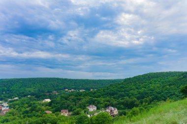 Yeşil çayır manzarası ve koyu mavi gökyüzünün altındaki evler.
