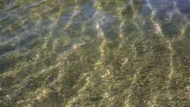 Ondes sur la surface de l'étang avec de l'eau claire et fond rocheux