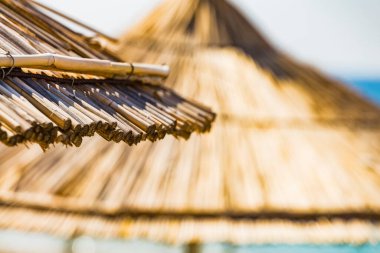 Sazlık plaj şemsiyelerine yakın çekim. Tropik tatil köyü yaz arkaplanı. İnsan yok. Ücretsiz metin alanı. Seçici odak