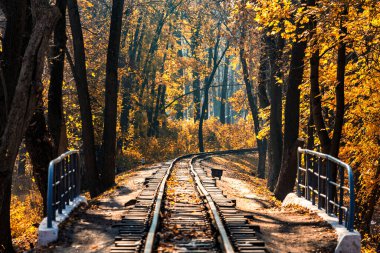 Sonbaharda ormandaki tek raylı demiryolu. Sonbahar manzarası.