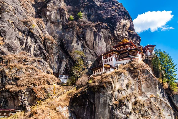 Taktshang Goemba Taktsang Palphug Monastery Tiger Nest Monastery Most Famous — Stock Photo, Image
