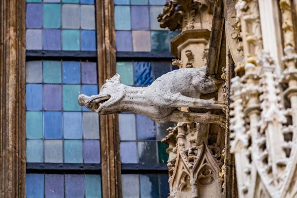 ゴシック様式の中世の聖シュテファン大聖堂やオーストリアのウィーンにあるシュテファン大聖堂のファサードにあるグロテスクなガーゴイル水彫刻 — ストック写真