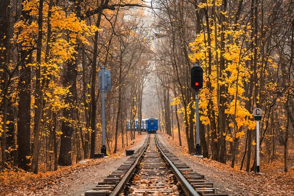 Kolejowy Pojedynczy Tor Przez Las Jesienią Jesienny Krajobraz Czerwony Sygnał — Zdjęcie stockowe