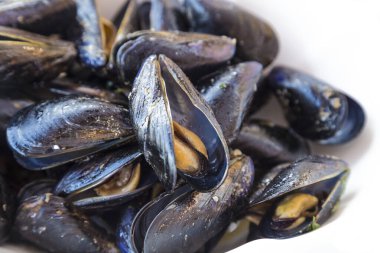 Buğulanmış midye yakın plan, beyaz arka planda izole edilmiş. Denizden yeni çıkmış, Arnavutluk 'un güney kıyısında bir midye çiftliği.