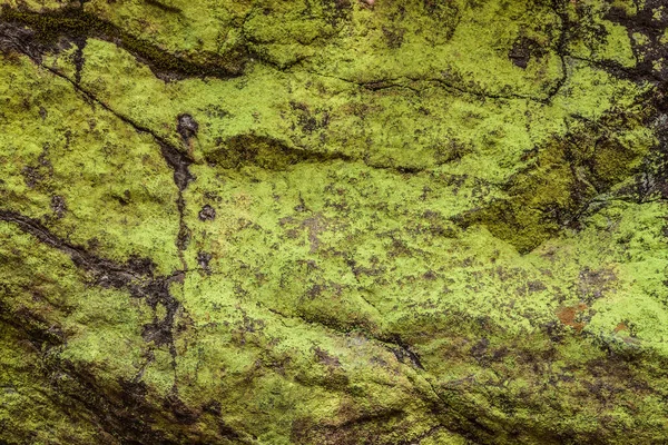 Moss Piedra Agrietada Fondo Verde Natural —  Fotos de Stock