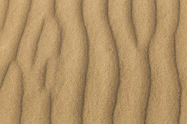Kum arka planı, rüzgarlı bir günde kumlu dalgalar sahilde ya da çölde, doğal arka plan