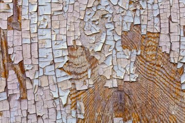 Eski çatlamış beyaz boya ahşap duvar dokusundan dökülüyor.