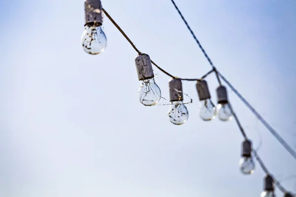 Electric classic vintage style antique light bulbs hanging ourdoors.