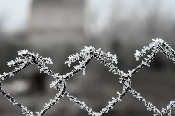 Netzzaun Mit Raureif Überzogen — Stockfoto