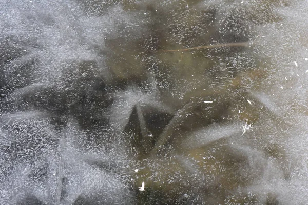 Textura Água Congelada Inverno — Fotografia de Stock