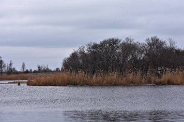 Nehir manzarası bulutlu sonbahar günü