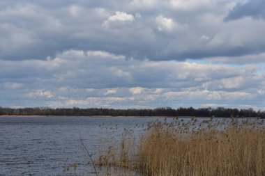 Soğuk kış gününde bulutlu şehir manzarası