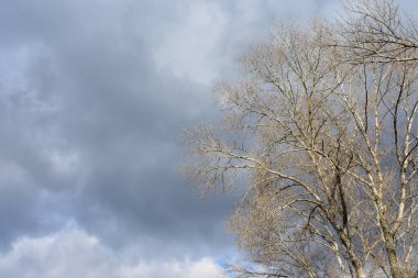 Soğuk kış gününde bulutlu şehir manzarası