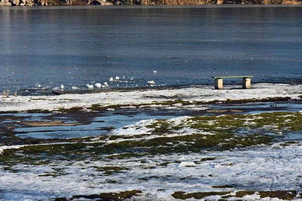 Zugefrorener See Mit Vögeln Sonniger Winterabend — Stockfoto