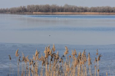 Güneşli bir günde donmuş nehir