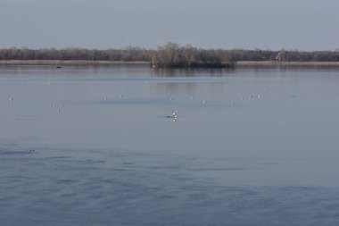 Güneşli bir günde donmuş nehir