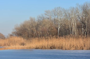 Güneşli bir günde donmuş nehir
