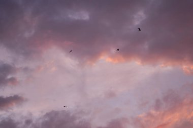 Şehirde şafak vakti gök gürültülü bulutlar