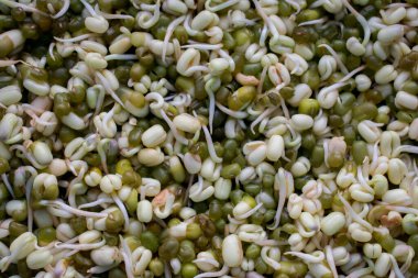 Yeşil fasulyeye yaklaş.