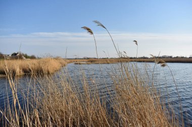 Güneşli bahar gününde nehir manzarası