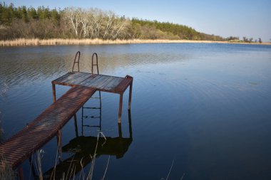 Suyun kenarındaki nehir manzarasında sazlıklar